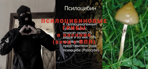 каннабис Алзамай