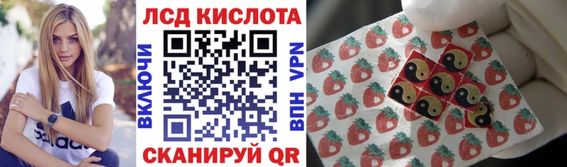 omg tor Богучар Марки 25I-NBOMe 1,8мг сколько стоит